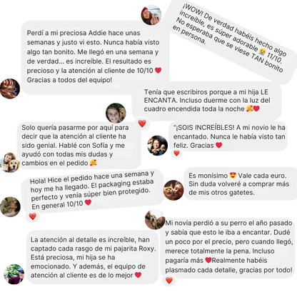 Cuadro Personalizado de Mascota con Luz LED